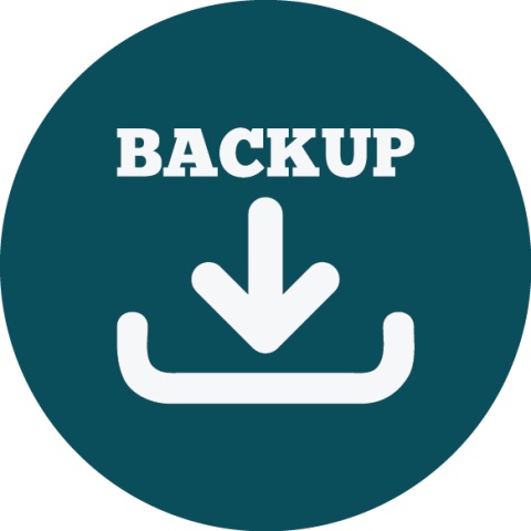 Download Icon